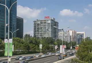 广东高浓度氨氮废水处理海精灵RSP清淤菌主要成分